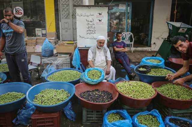 إنفوغراف.. ذهب فلسطين الأخضر في خطر