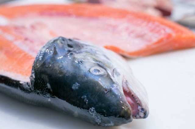 ‫أوميغا 3.. صديقة قلبك