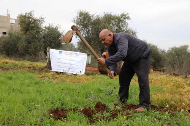 هكذا نجح الفلسطينيون بزراعة نحو 150 ألف شجرة منذ 7 أكتوبر