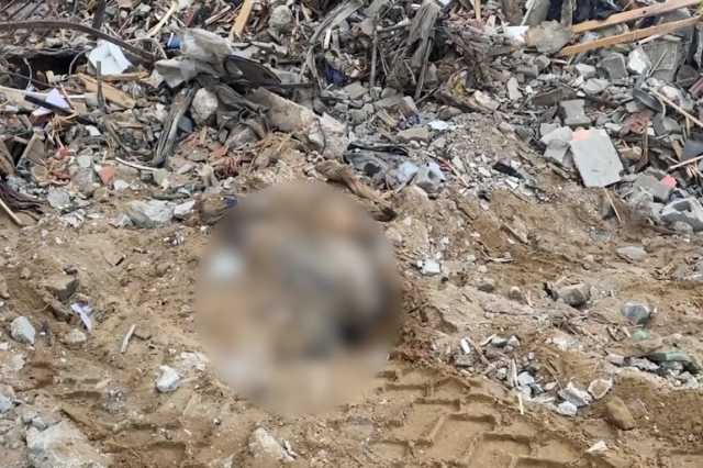 مجلس الأمن يدعو لتحقيق مستقل في المقابر الجماعية بغزة