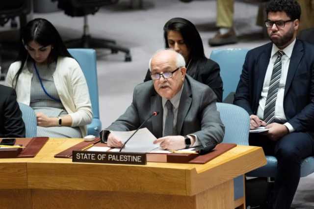 دبلوماسي بريطاني سابق: حان وقت اعتراف المملكة المتحدة بدولة فلسطين