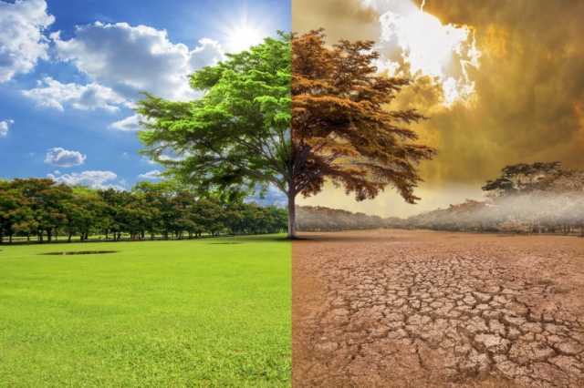 ما الفرق بين الطقس والمناخ؟