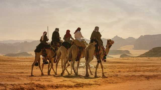 حداء الإبل.. حكايات ومرويات التواصل مع الجمال بالجزيرة العربية