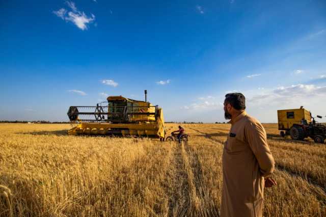 متعاملون: سوريا تطرح مناقصة لشراء 100 ألف طن من قمح الطحين