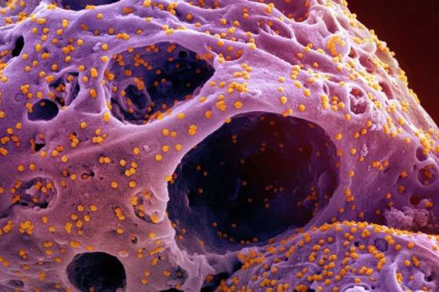 وثيقة: أميركا تربط المساعدات الصحية بالحصول على بيانات مسببات الأمراض