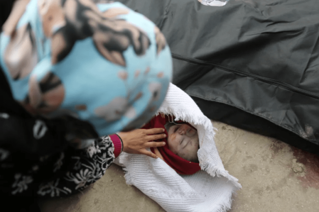 كاتبة بريطانية: يريد الساسة أن يعتاد العالم على الجرائم بغزة ولن نسمح بذلك