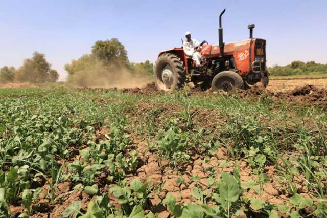 دراسة تحذر: نحو 17% من الأراضي الزراعية بالعالم ملوثة بالمعادن السامة