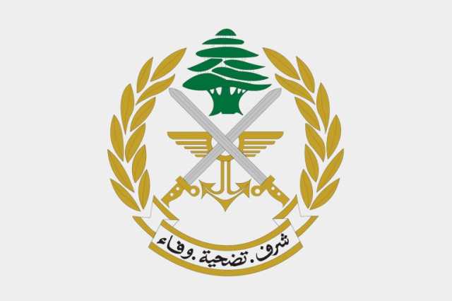 الجيش اللبناني.. تاريخه وهيكلته وقدراته