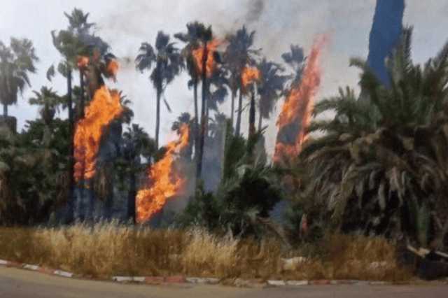 حرائق إسرائيل تشعل الجبهة الداخلية بين المعارضة والحكومة