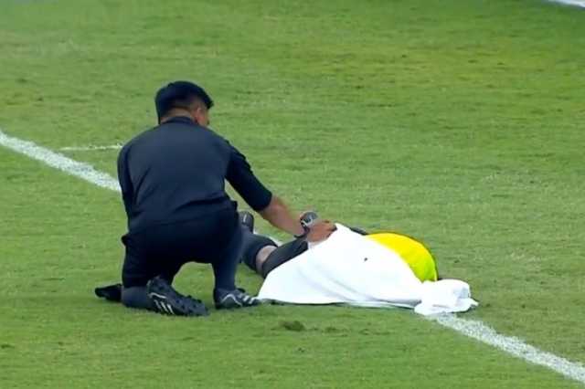 شاهد.. هجوم سرب نحل يوقف مباراة كرة قدم في الهند