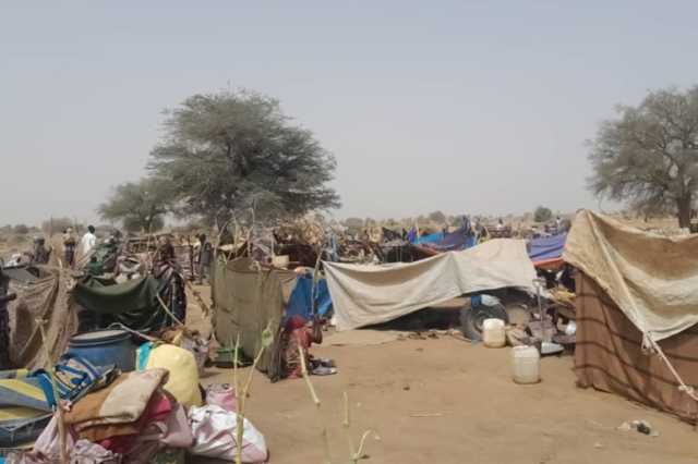 ناشطون سودانيون يتهمون الدعم السريع بقتل 14 مدنيا بالفاشر