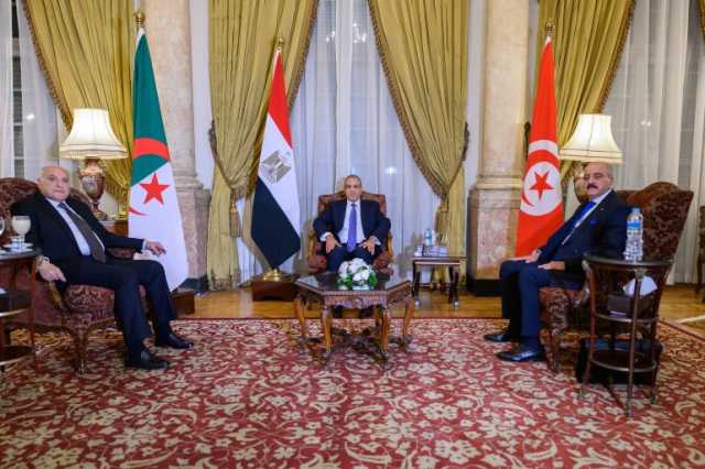 دول الجوار تدعو ليبيا لانتخابات رئاسية وبرلمانية متزامنة