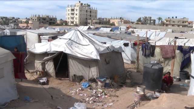 ترامب: سكان غزة يتضورون جوعا ونتطلع لإيجاد حل