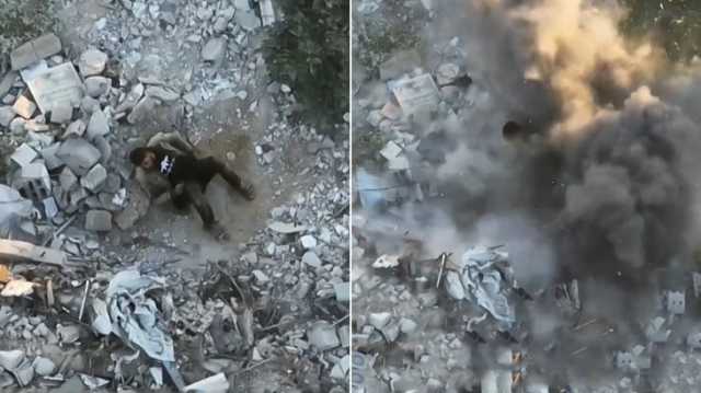 فيديو يوثق إلقاء مسيّرة إسرائيلية قنبلة على فلسطيني أعزل وقتله
