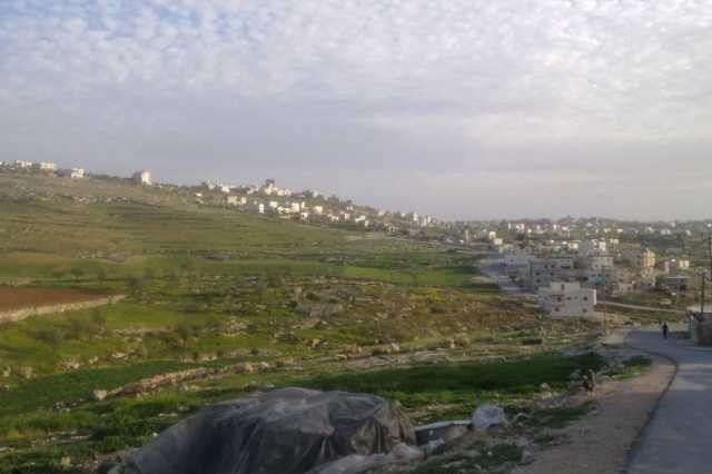 سلفيت سلة العنب الفلسطينية