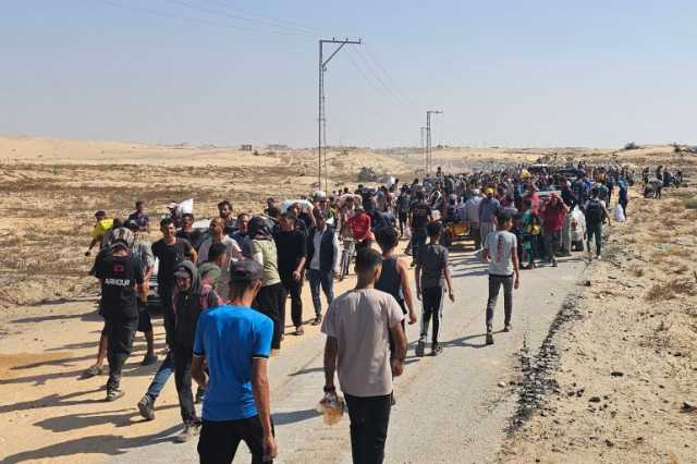 مسؤول طبي للجزيرة: الناس يتساقطون في شوارع غزة من شدة الجوع
