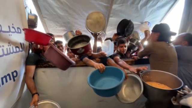 إبراهيمي: العالم يتخلى عن غزة والاحتلال يحاربها بالتجويع