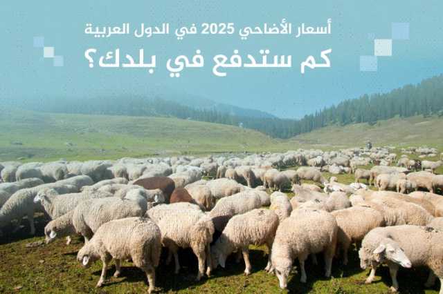 أسعار الأضاحي 2025 عربيا.. كم ستدفع في بلدك؟