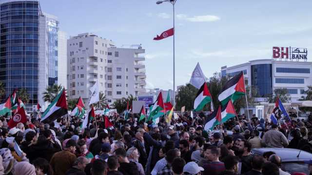 مظاهرات غاضبة في عدة دول احتجاجا على تجويع غزة