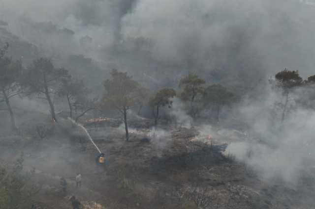 فرق الإطفاء توقف امتداد حرائق اللاذقية