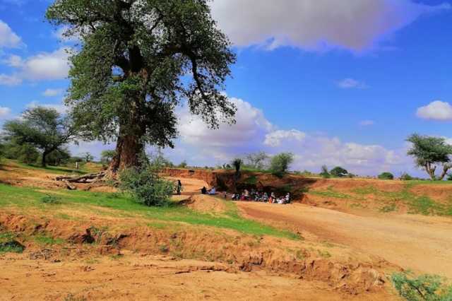 مدينة النهود.. بوابة الزراعة والتجارة في غرب السودان