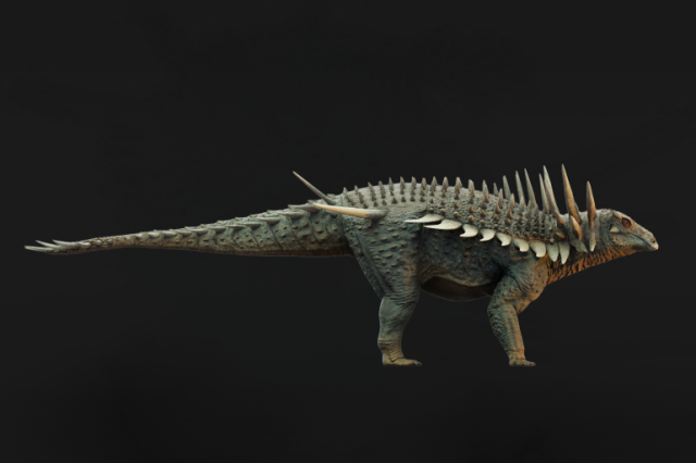 سبايكوميليس أفير.. ديناصور مغربي مدرع يفاجئ العلماء