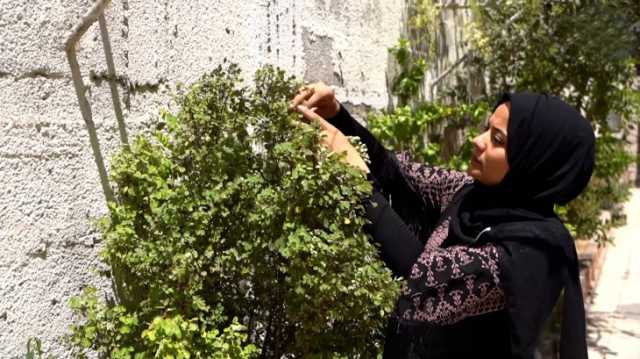 مبادرة في غزة تزرع الأمل وتحارب المجاعة من عتبات المنازل