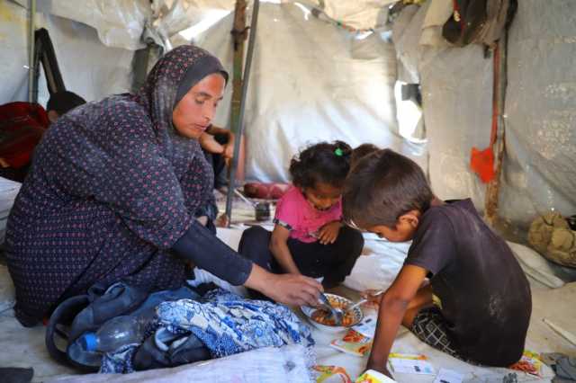 خيارات أحلاها مر.. صحيفة أميركية تسرد كفاح عائلة بغزة للبقاء على قيد الحياة