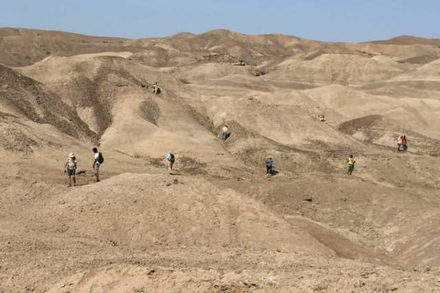 حفريات نادرة بإثيوبيا تكشف عن نوع جديد في السلالة البشرية