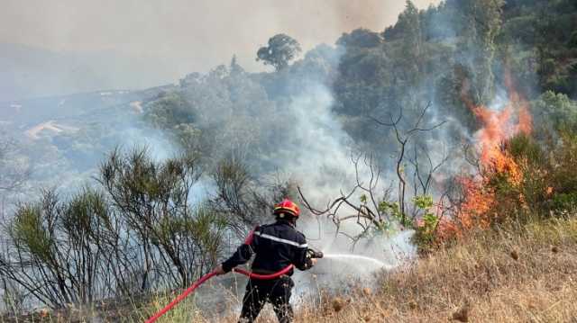 حرائق غابات في 8 ولايات جزائرية وإجلاء سكان