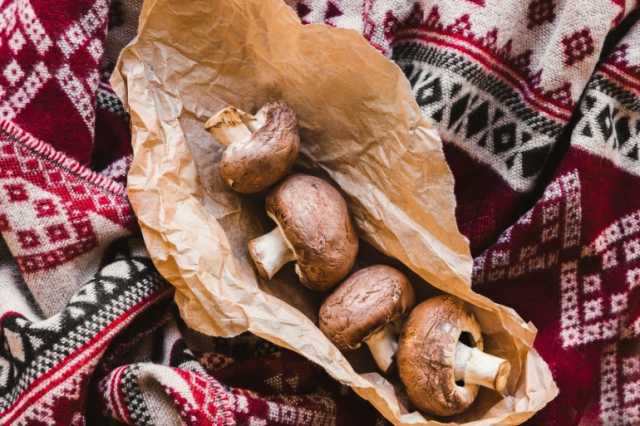 طعام الأزمات الصامت.. كيف أصبح الفطر غذاء البقاء في الكوارث والمجاعات؟