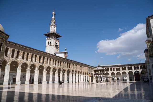 من هو مهندس صعود الدولة الأموية؟