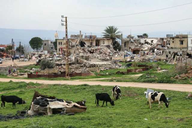 أصحاب المزارع بجنوب لبنان يطالبون بالتعويض بعد العدوان