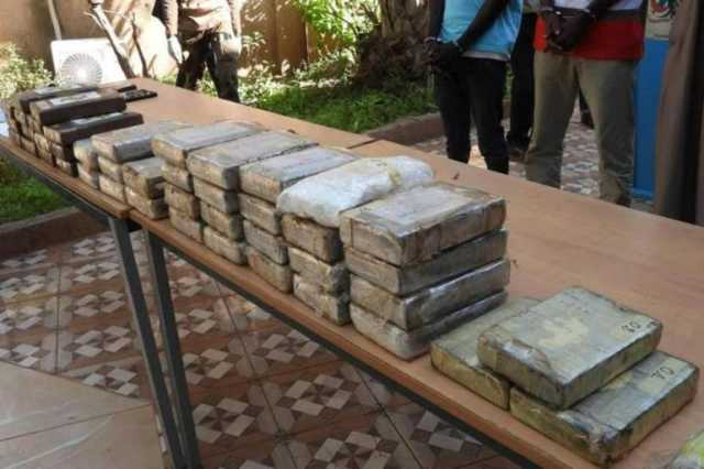 النيجر تصادر 51 كيلوغراما من الكوكايين بقيمة 4.6 ملايين دولار