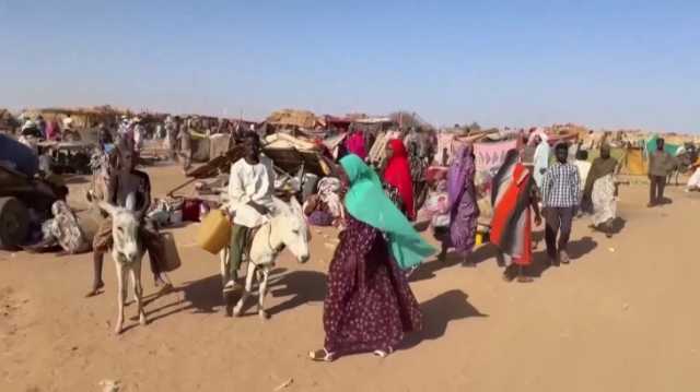 الأمم المتحدة: الدعم السريع تستخدم التجويع سلاحا في الفاشر