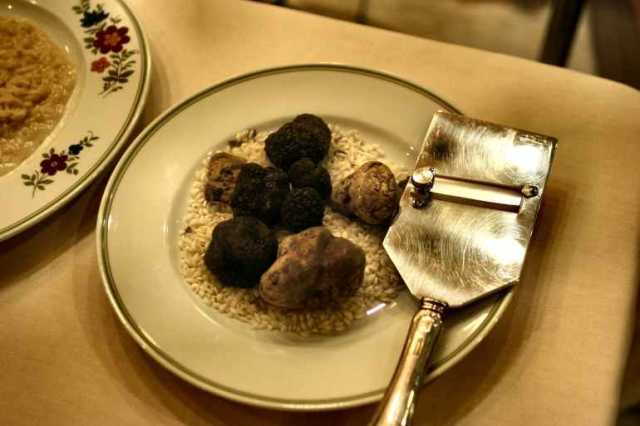 فطر الكمأة كنز ثمين من باطن الأرض إلى أطباق الملوك