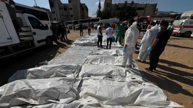 وجدان أبو شمالة.. فقدت 400 من عائلتها ووثقت وجع غزة في كتاب