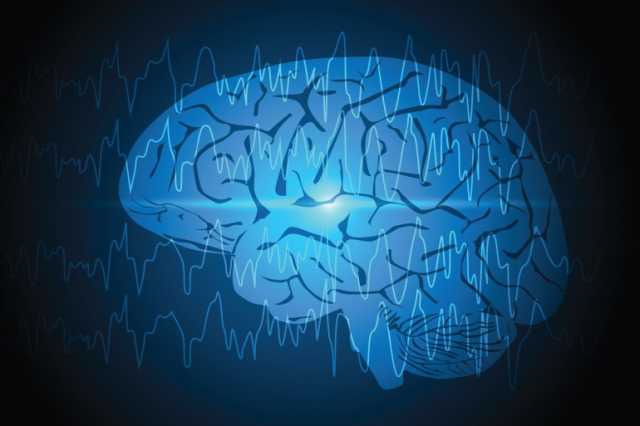 المخ يغير وصلاته العصبية بالكامل خمس مرات على مدار عمر الانسان