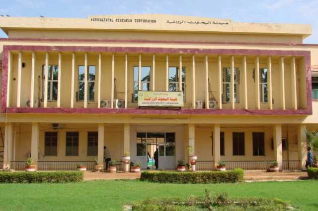وزير الزراعة السوداني للجزيرة نت: خسائر الزراعة جراء الحرب 100 مليار دولار
