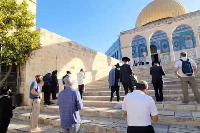 مستوطنون يقتحمون الأقصى وينفذون عشرات الاعتداءات بالضفة المحتلة