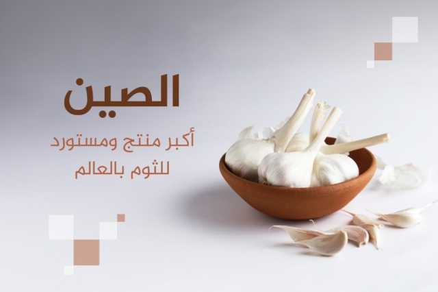 أكبر 10 دول منتجة ومصدرة للثوم في العالم.. مفاجآت عربية في القائمة