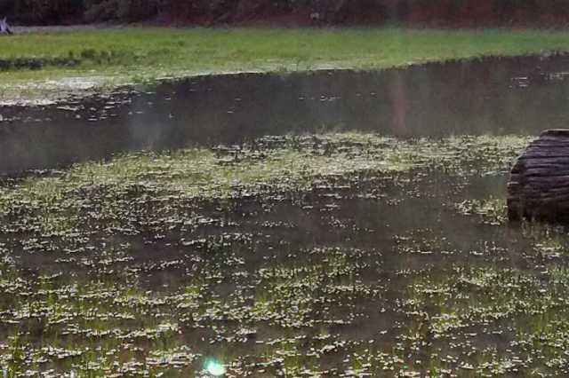 عمرها 550 مليون سنة.. حيوانات حفرت أقدم أنفاق بحرية في العالم