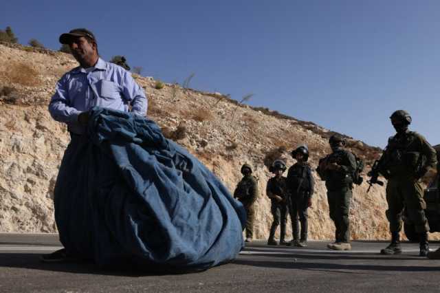 الأمم المتحدة: موسم الزيتون بالضفة يشهد أعلى مستوى من الهجمات