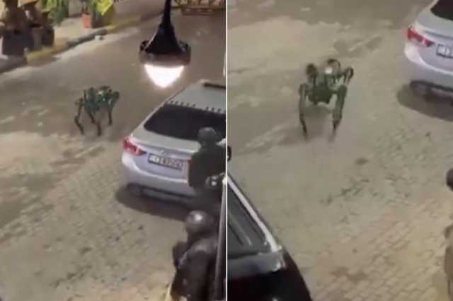 شاهد.. قوات الأمن الأردنية تستخدم كلبا روبوتيا خلال مداهمة في الرمثا