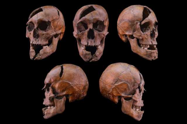 بعد 700 سنة.. العلم يحل لغز جريمة هزّت البلاط الهنغاري