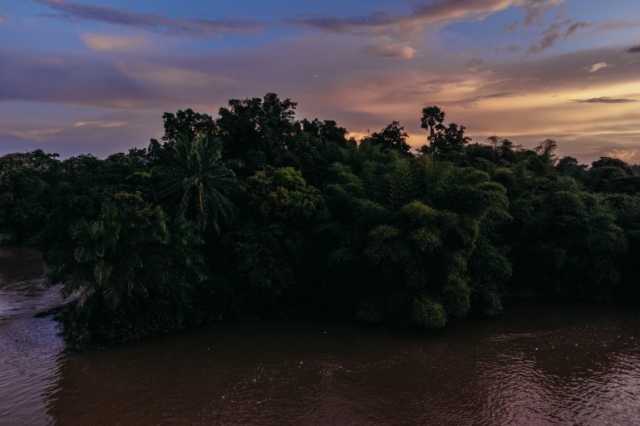 تهديدات واعتداءات بعد كشف فساد بيئي بالكونغو الديمقراطية