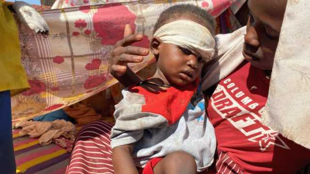 صحف عالمية: تقارير تكشف جرائم الدعم السريع بالفاشر ودعوات لتصنيفها إرهابية