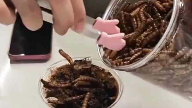 ناشطون يسخرون من الصين بسبب قهوة الصراصير