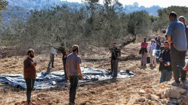 صحف عالمية: تخريب المستوطنين بساتين الزيتون بالضفة تطهير عرقي