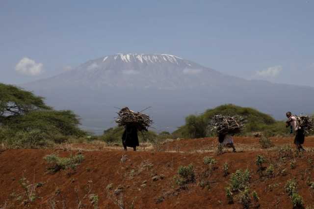 جبل كليمنجارو يفقد 75% من أنواع النباتات خلال قرن